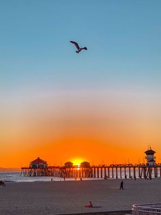 a bird flying over the ocean at sunset with a pier in the background and people on the beach