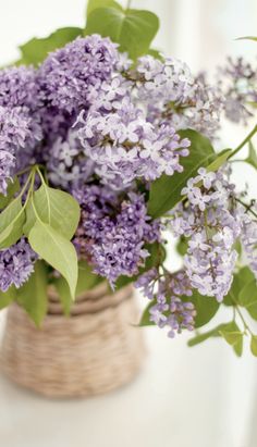 purple lilacs in a basket on a white countertop with green leaves and branches