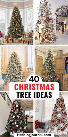 Christmas tree decor ideas Christmas Tree Themes Farmhouse, Christmas Tree Themes Ideas, Gold Christmas Tree Theme, Glamorous Christmas Tree, Old Fashion Christmas Tree, Scandinavian Christmas Trees, Fruit Christmas Tree, Themes Ideas, Minimalist Christmas Tree