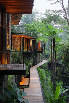 a wooden walkway between two buildings surrounded by trees and greenery in the evening light