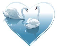 two swans in the shape of a heart on water with stars and sparkles royalty illustration