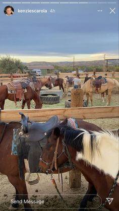 two horses standing next to each other near a fence