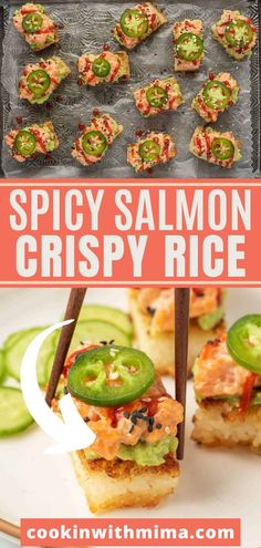 the recipe for spicy salmon crispy rice