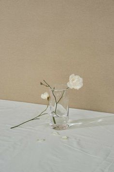 two white flowers in a clear glass vase on a tableclothed surface with a beige wall behind it