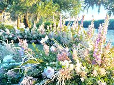 the flowers are blooming in the garden next to the water's edge and trees