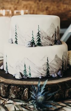 two tiered wedding cake with pine trees on the top and mountains in the background