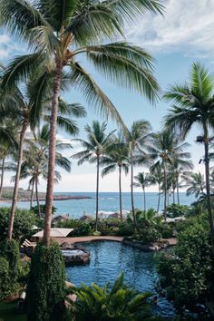 palm trees line the beach in front of an ocean