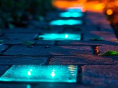 the sidewalk is lit up with blue and green lights at night, as well as plants