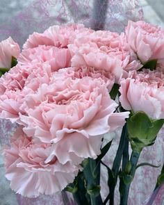 pink carnations in a glass vase on a tableclothed surface, with green leaves