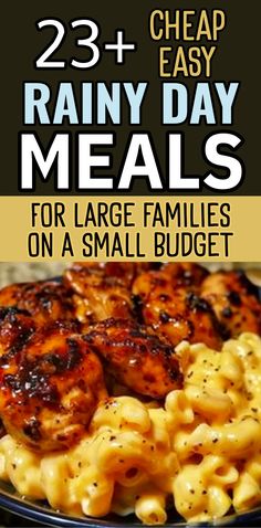 the cover of 25 cheap and easy rainy day meals for large families on a small budget