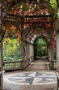 the walkway is lined with colorful trees and leaves on it's sides, leading to an open air pavilion