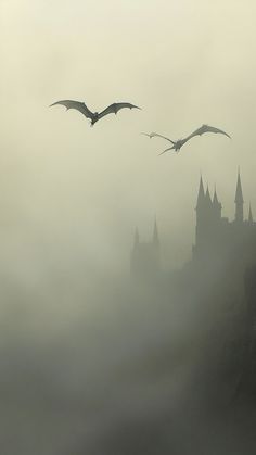 two birds flying over a castle on a foggy day