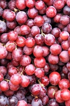 red grapes are piled up in a pile