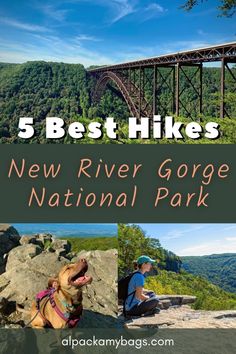 the top 5 best hikes in new river gorge national park, with text overlay