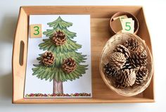 a wooden tray with pine cones on it next to a number five card and a basket of pine cones