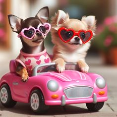 two small dogs wearing heart shaped sunglasses riding in a pink toy car on the street