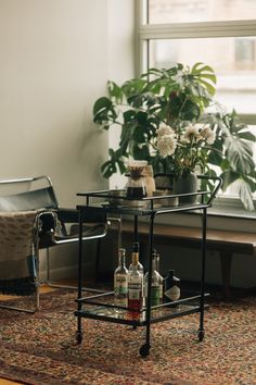 a living room with a couch, coffee table and potted plant