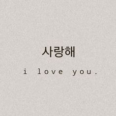 the words i love you are written in korean