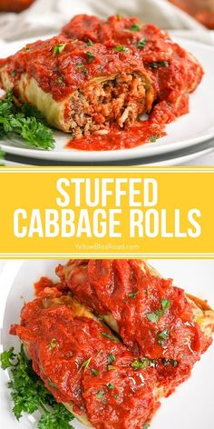 stuffed cabbage rolls with marinara sauce and parsley on top, served on a white plate