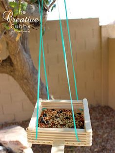 a bird feeder hanging from a tree branch