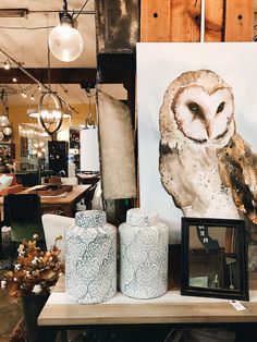 an owl painting on display in a store