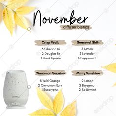 Fall Diffuser Recipes, November Diffuser Blends, Diffuser Blends Winter, Rainy Fall Diffuser Blend, Fall Difusser Blend, Fall Leaves Diffuser Blend, Siberian Fir Diffuser Blends, Anthro Autumn Diffuser Blend