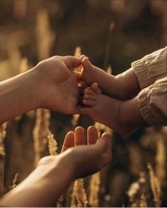 two people holding their hands together in the middle of some tall grass and plants, with one person's hand on top of the baby's foot