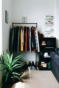 a living room with clothes hanging on a rack next to a couch and a potted plant