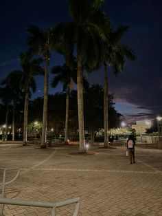 a person standing in the middle of a park at night with palm trees behind them