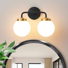 a bathroom mirror with two lights and a potted plant in front of the mirror