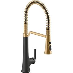 a kitchen faucet with gold and black fixtures, including a pull out sprayer