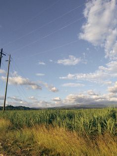 an empty road in the middle of a field with power lines and telephone poles above it