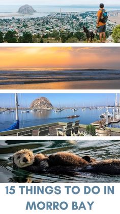 the top five things to do in morro bay