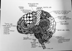 a black and white drawing of the inside of a human brain with labels on it