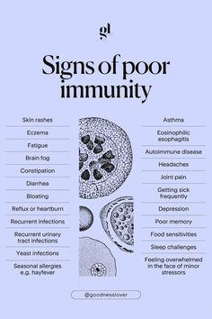 Did you know there are actually four different immune systems in the body?    - Microbiome in the GI tract - Kupffer cells in the liver - White blood cells found all over your body - Glia cells in the brain   As our immune system is so systemic, having a poorly functioning immune system affects various organ systems and can lead to body-wide symptoms.    If you’re showing a number of these symptoms, perhaps your immune system and your gut need some address #10TipsForHealthyLife Blood Sugar Diet, Doctor Advice, Organ System, White Blood, Gi Tract, Health And Fitness Magazine, Seasonal Allergies, Breast Health