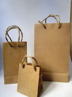 three brown paper bags with twine handles