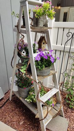 a wooden ladder filled with potted plants