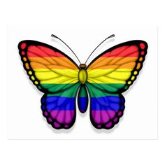 a rainbow butterfly on a pink background