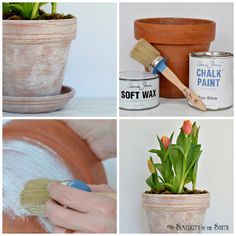 four pictures showing different types of clay pots with flowers in them and paint cans next to each other