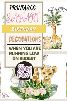 a birthday card for someone's special occasion with pictures of animals and palm trees