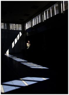 a person standing in an empty room with sunlight coming through the windows and shadows on the floor