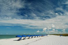 several blue umbrellas are lined up on the white sand beach near the water's edge