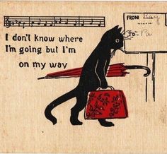 a drawing of a black cat carrying a red suitcase with notes on it and the words, i don't know where i'm going but i'm on my way