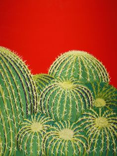 a painting of green cactuses on a red background with the sky in the background