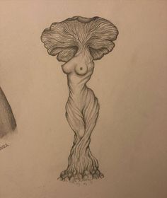 a pencil drawing of a tree and a mushroom