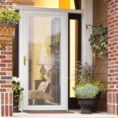 the front door is decorated with potted plants