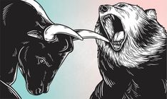 two bulls with their mouths open in front of each other, one is growling at the other