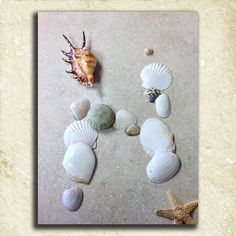 several seashells and starfish on the beach with text overlay that reads, sea shells