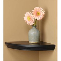 two pink daisies in a vase on a shelf next to a wall painted tan