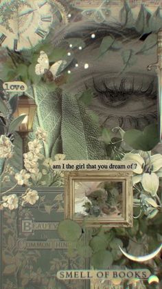 an altered photograph with the words, i am the girl that you dream of?